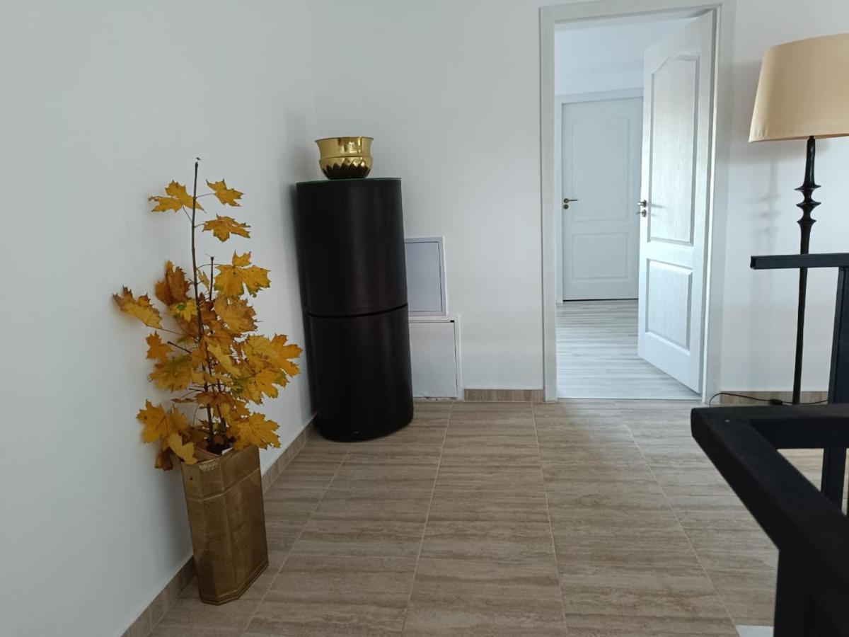 Viv Rosetti Hotel Iasi Bagian luar foto