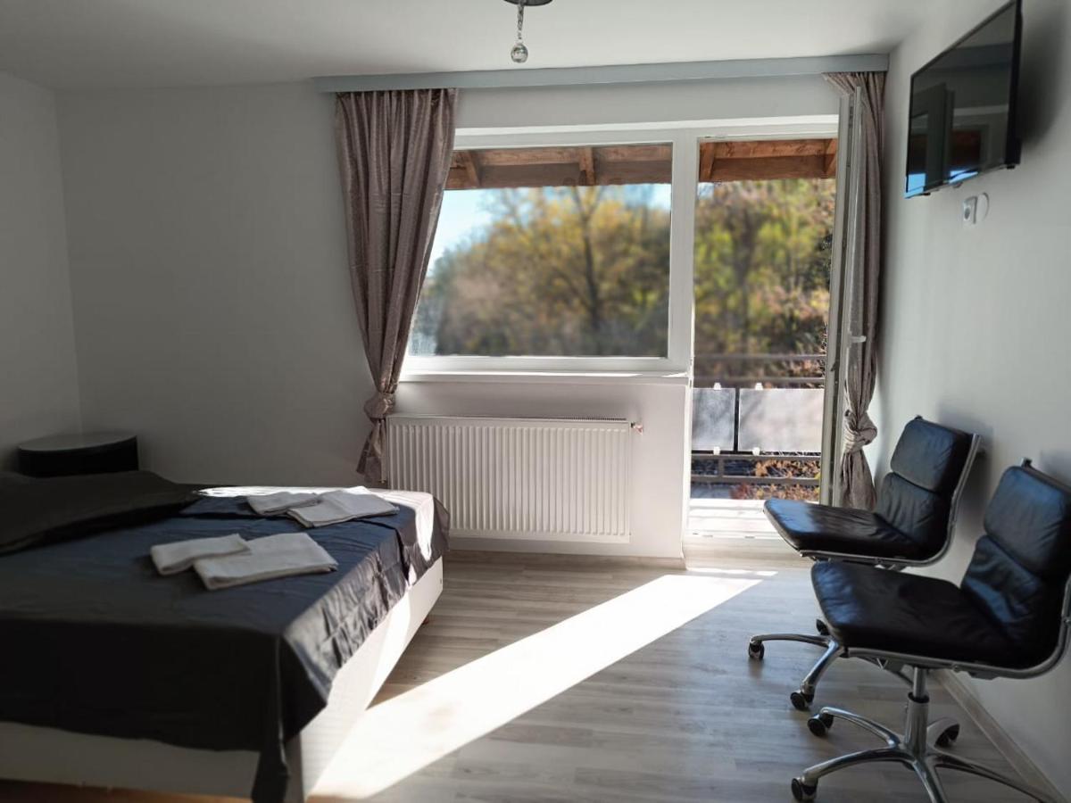 Viv Rosetti Hotel Iasi Bagian luar foto
